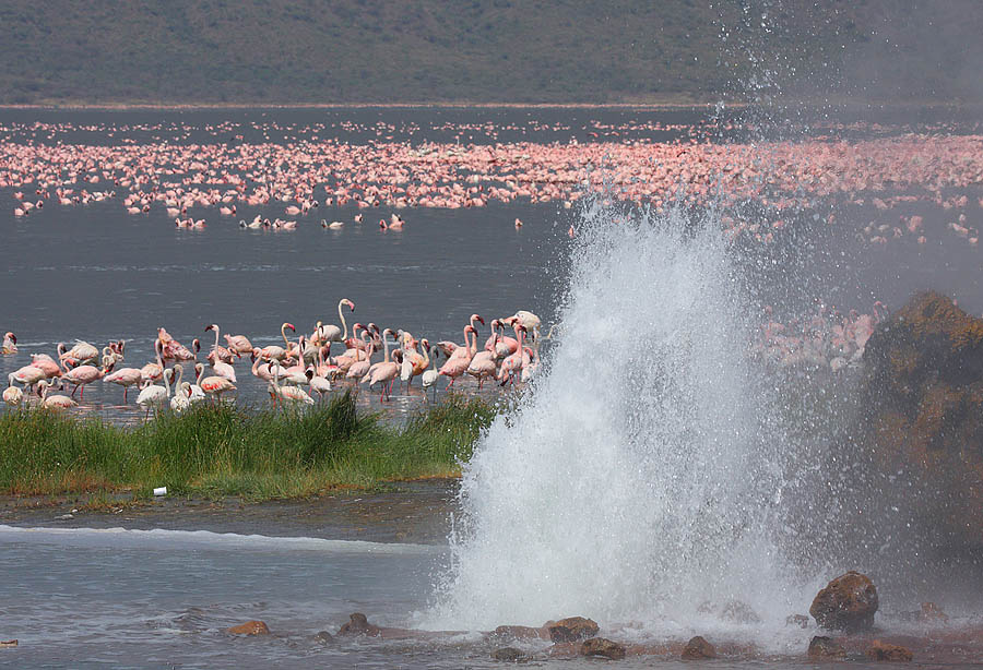Mount Kenya
