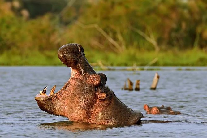 Naivasha